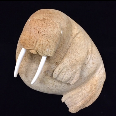 Sitting Walrus with Raised Flipper